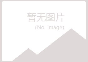 阳山县心底矗陌路服务有限公司